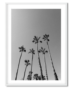 Beneath the palms - DG Designs