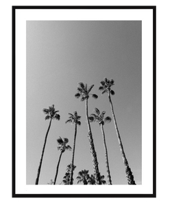 Beneath the palms - DG Designs